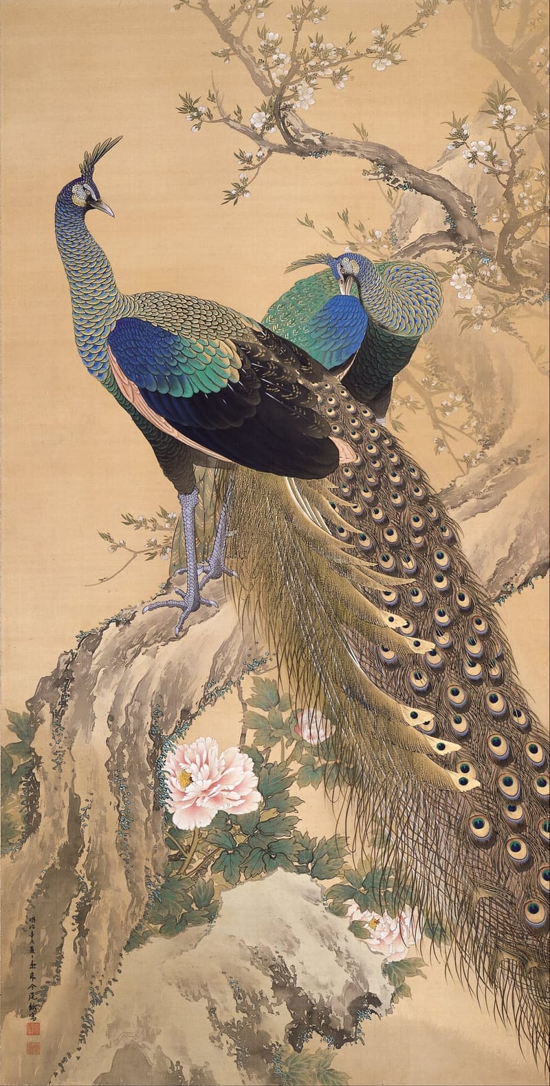 A Pair of Peacocks in Spring jigsaw puzzle artwork