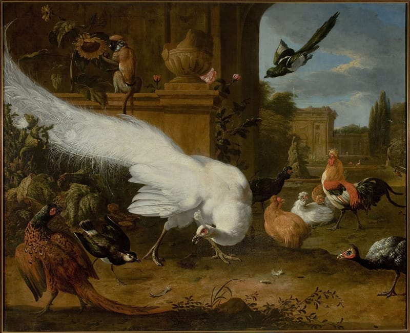 Fowls and a White Peacock jigsaw puzzle artwork