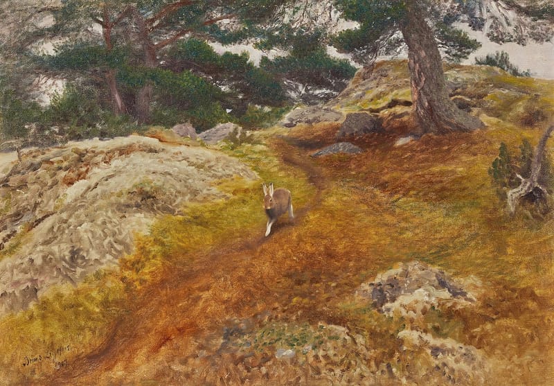 Hare in forest landscape jigsaw puzzle artwork