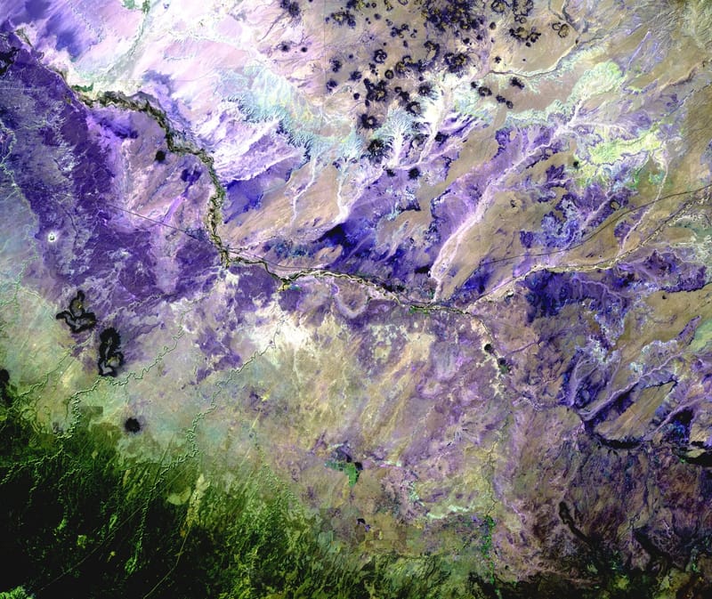 Desert to Forest jigsaw puzzle artwork
