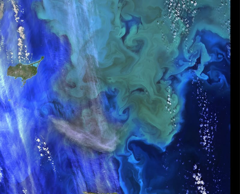 Earth's Aquarium jigsaw puzzle artwork
