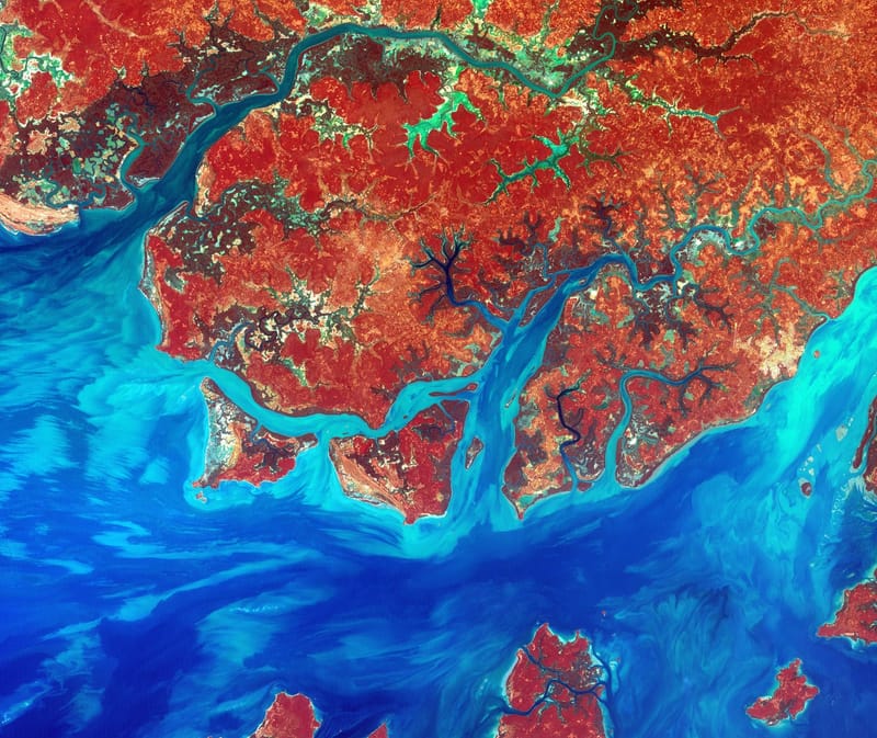 Guinea-Bissau jigsaw puzzle artwork