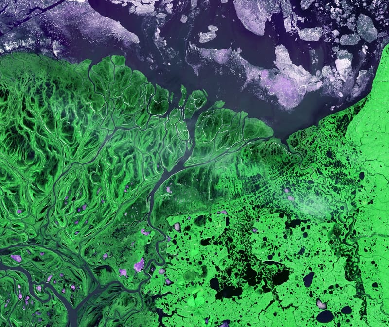 Yukon Delta jigsaw puzzle artwork