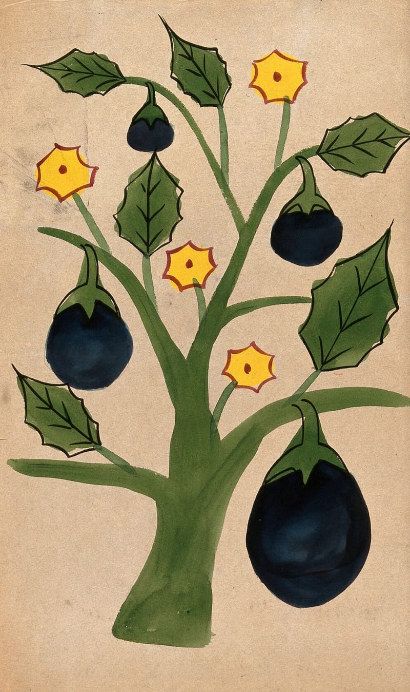 A tree with giant fruits. Watercolour drawing. jigsaw puzzle artwork