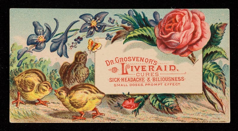 Dr. Grosvenor's Liveraid: Cures Sick Headache jigsaw puzzle artwork
