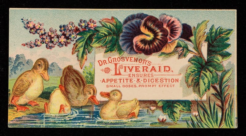 Dr. Grosvenor's Liveraid: Appetite & Digestion jigsaw puzzle artwork